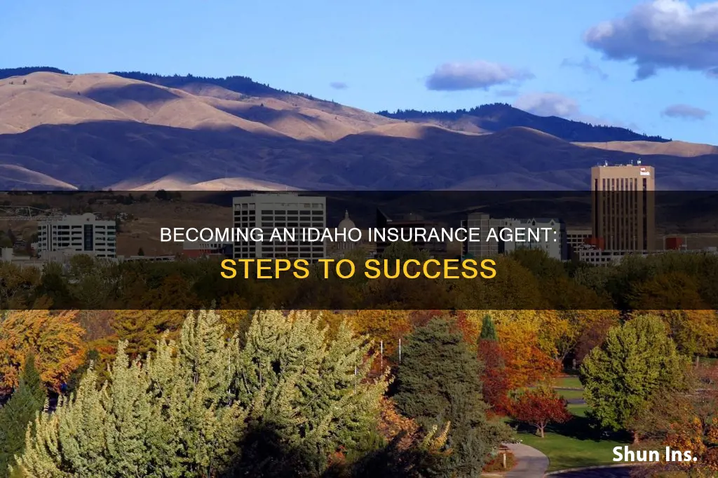 how to become an insurance agent in idaho