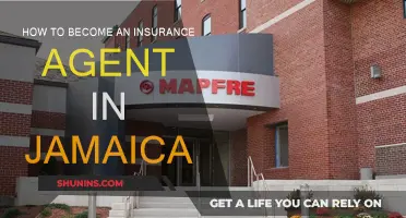 Becoming an Insurance Agent in Jamaica: A Guide