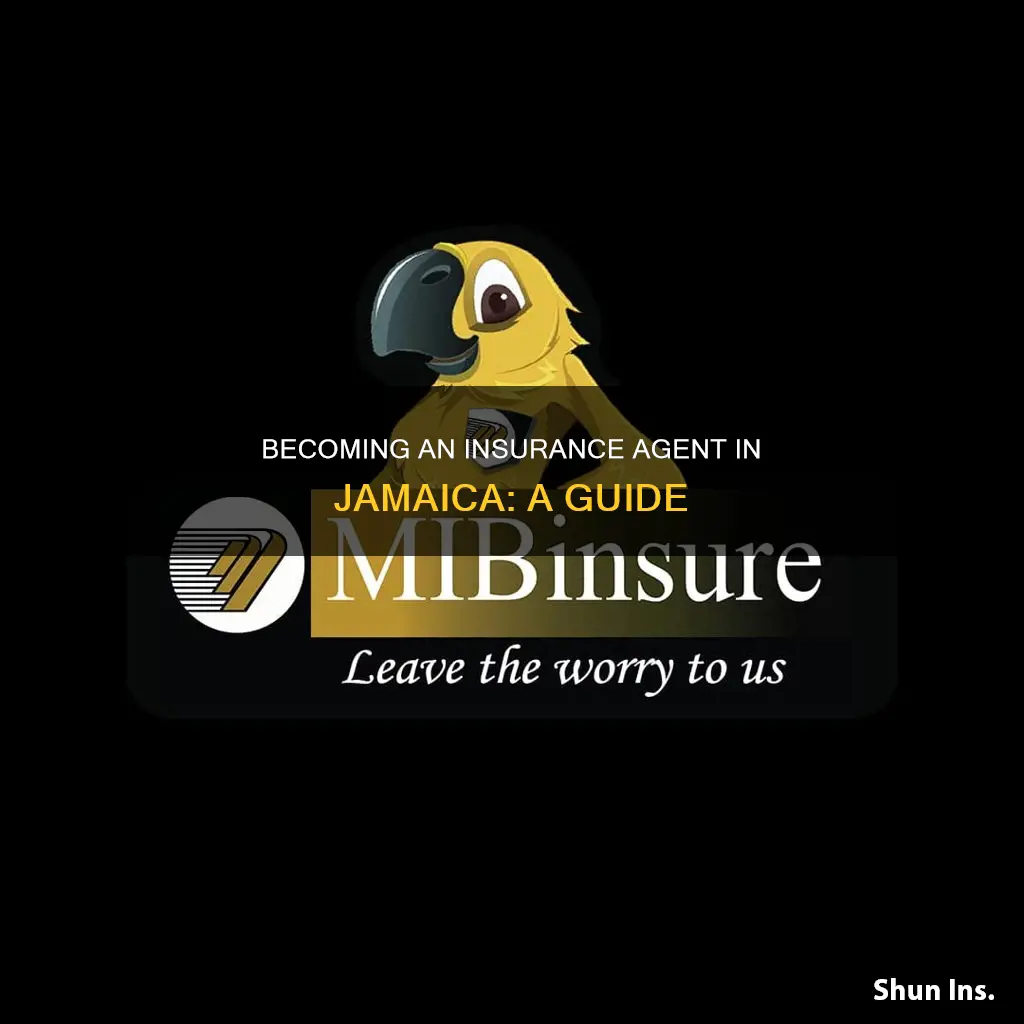 how to become an insurance agent in jamaica