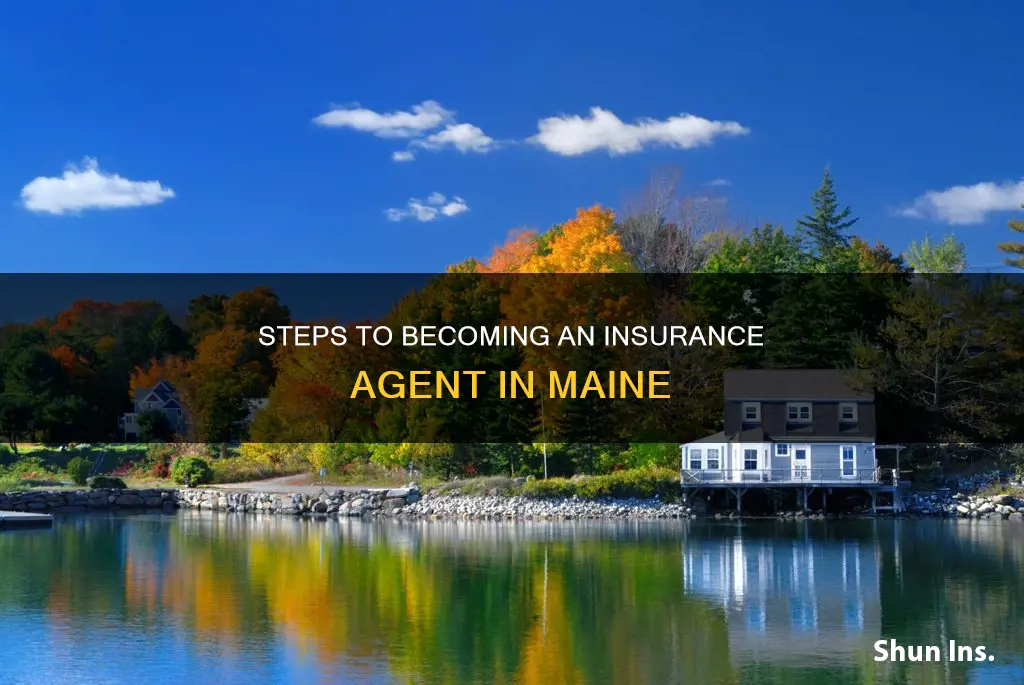how to become an insurance agent in Maine