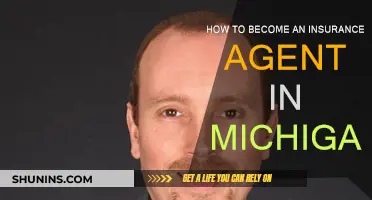 Becoming an Insurance Agent: Michigan's Requirements