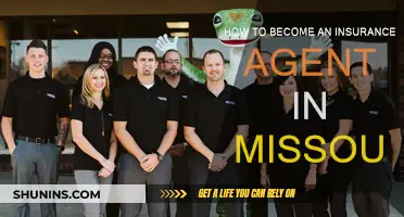 Becoming an Insurance Agent: Missouri Edition