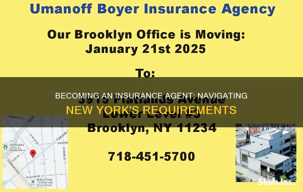 how to become an insurance agent in ny