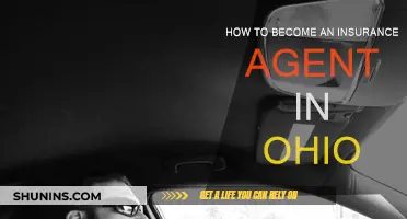 Becoming an Ohio Insurance Agent: A Guide
