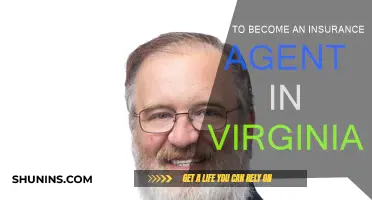 Becoming an Insurance Agent: Your Guide to Virginia