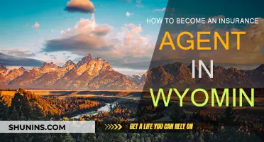 Wyoming Insurance Agent: Steps to Success
