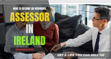 Becoming an Insurance Assessor: Your Guide to Cracking Ireland's Market