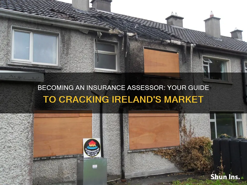 how to become an insurance assessor in ireland