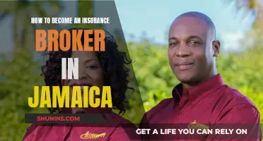 Becoming an Insurance Broker: Jamaica's Requirements and Steps