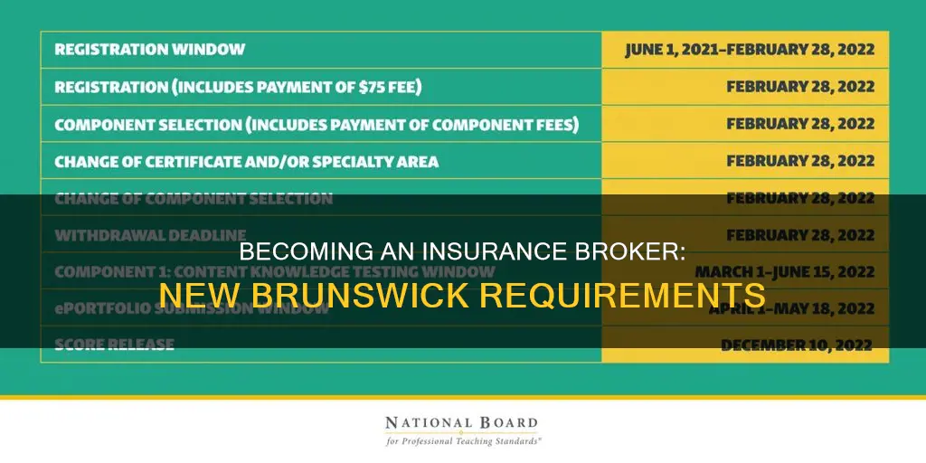 how to become an insurance broker in new brunswick