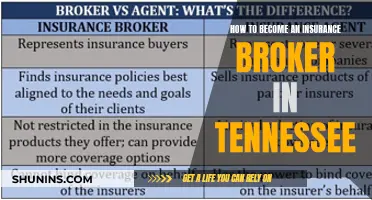 Becoming an Insurance Broker: Tennessee's Requirements and Steps