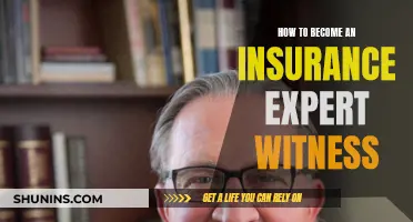 Becoming an Insurance Expert Witness: A Comprehensive Guide