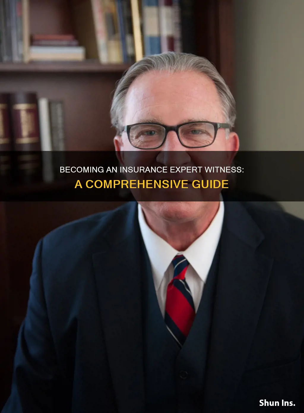 how to become an insurance expert witness