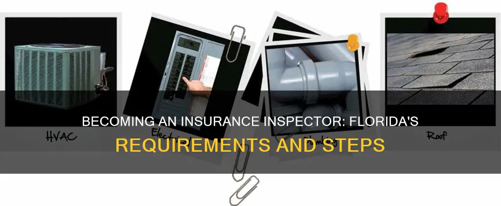 how to become an insurance inspector in Florida