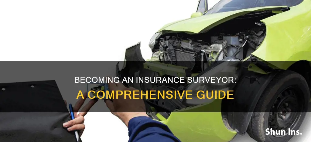 how to become an insurance surveyor