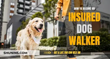 Insured Dog Walker: Steps to Take for Your Business