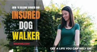 Becoming a Dog Walker: Bonding and Insurance Basics