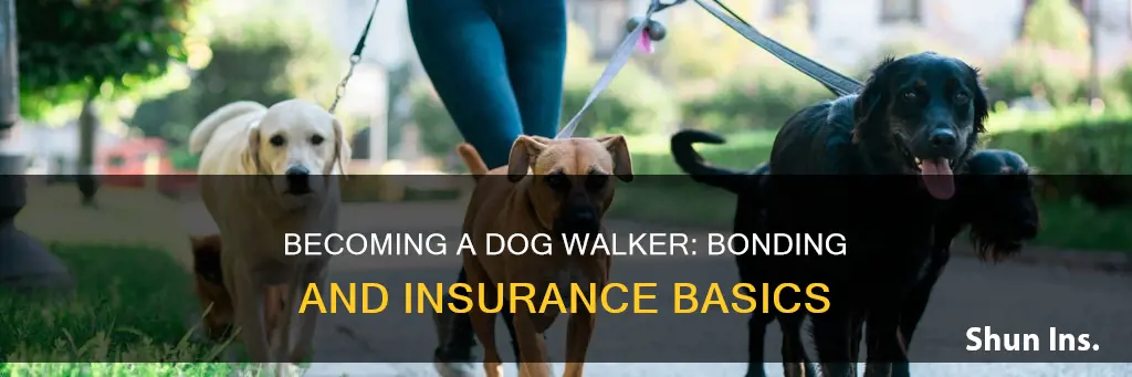 how to become bonded and insured dog walker