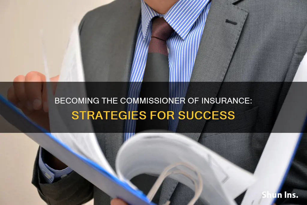 how to become commissioner of insurance