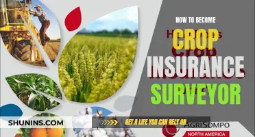 Becoming a Crop Insurance Surveyor: A Step-by-Step Guide