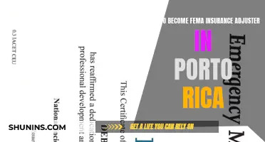 Becoming a FEMA Insurance Adjuster in Puerto Rico: Navigating the Claims Landscape
