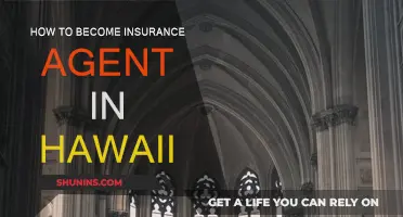 Becoming an Insurance Agent in Hawaii: A Guide