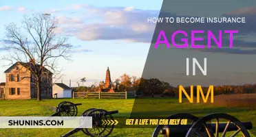 Becoming an Insurance Agent in New Mexico: A Guide