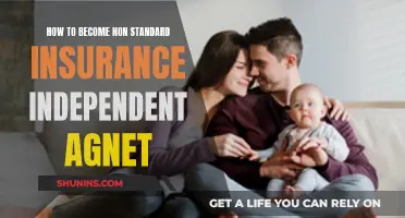 Becoming a Non-Standard Insurance Independent Agent: A Guide