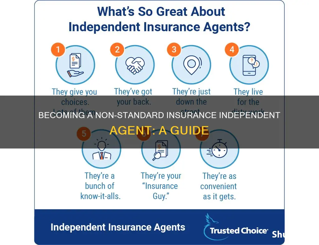 how to become non standard insurance independent agnet