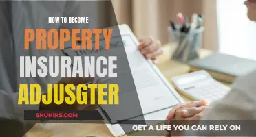 Becoming a Property Insurance Adjuster: Steps to Success