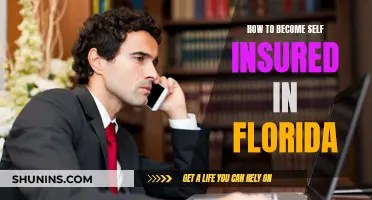 Self-Insured in Florida: Steps to Take for Your Business