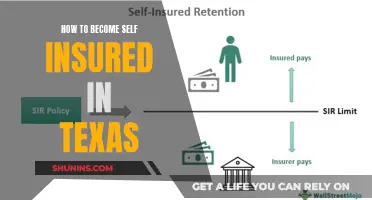 Self-Insured in Texas: Steps to Take for Financial Freedom