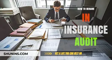 Mastering Insurance Audits: Essential Tips for Professional Conduct and Compliance