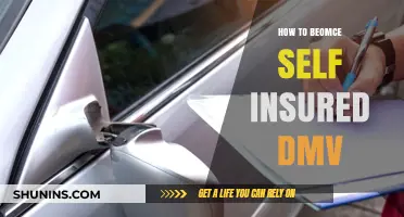 Master Self-Insurance: DMV Requirements and Steps to Become Self-Insured