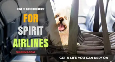 Easy Guide to Booking Insurance for Spirit Airlines Flights