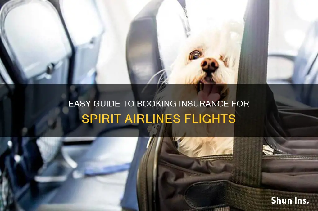 how to book insurance for spirit airlines