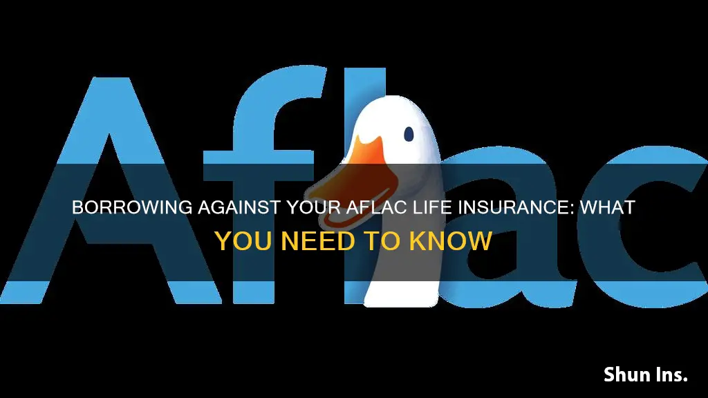 how to borrow against aflac life insurance