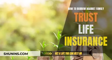 Borrowing Against Family Trust Life Insurance: What You Need to Know