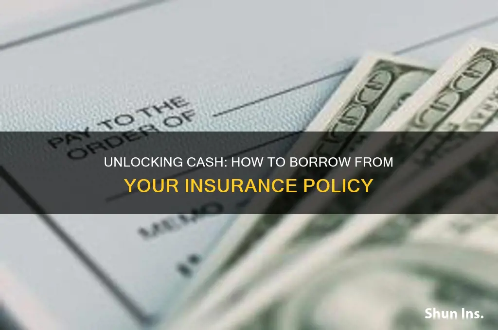 how to borrow from insurance