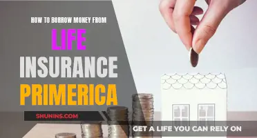 Borrowing Money: Primerica Life Insurance Policy Options