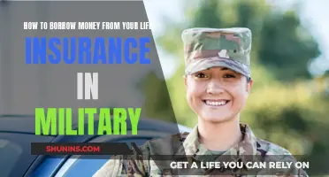 Borrowing Money: Life Insurance and Military Options