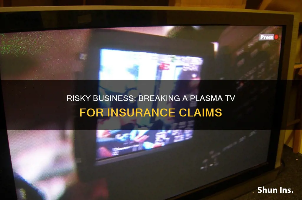 how to break plasma tv for insurance purpose