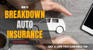 Understanding Auto Insurance: Breaking Down the Basics