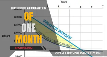 Insurance Gap: Covering a Month-Long Gap