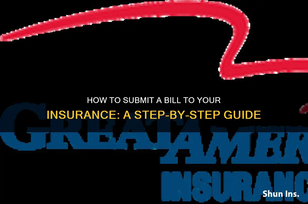 how to bring a bil to my insurance