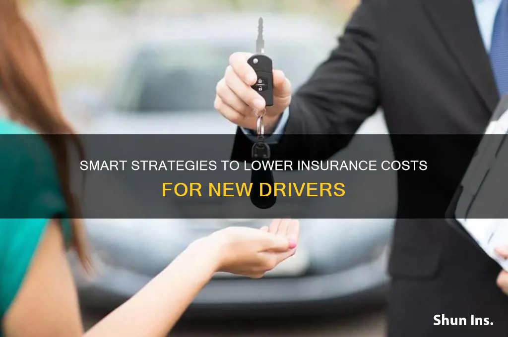 how to bring insurance down for new drivers