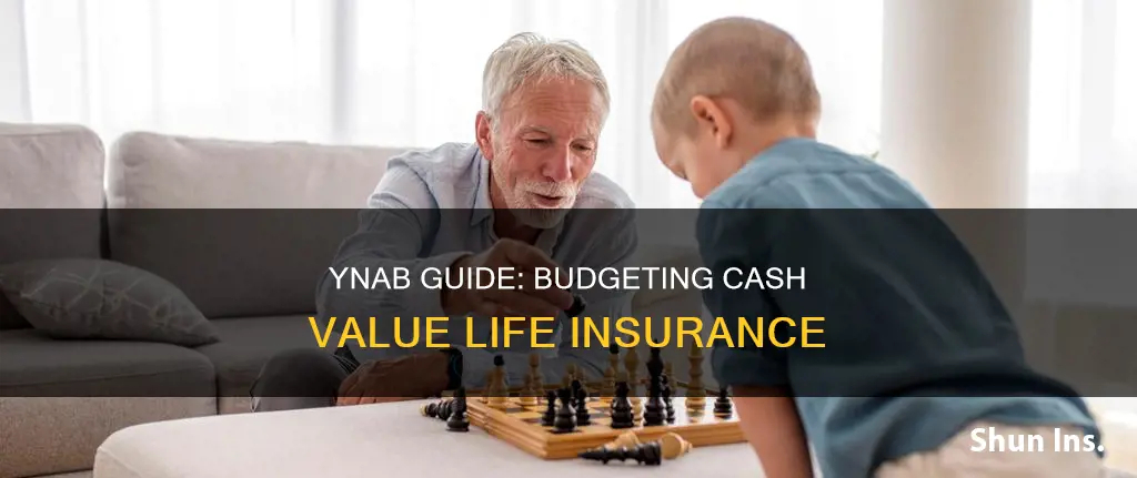 how to budget cash value life insurance in ynab