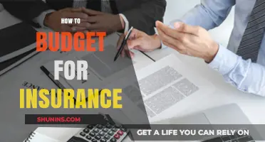 Smart Insurance Budgeting: Tips to Plan and Save Effectively