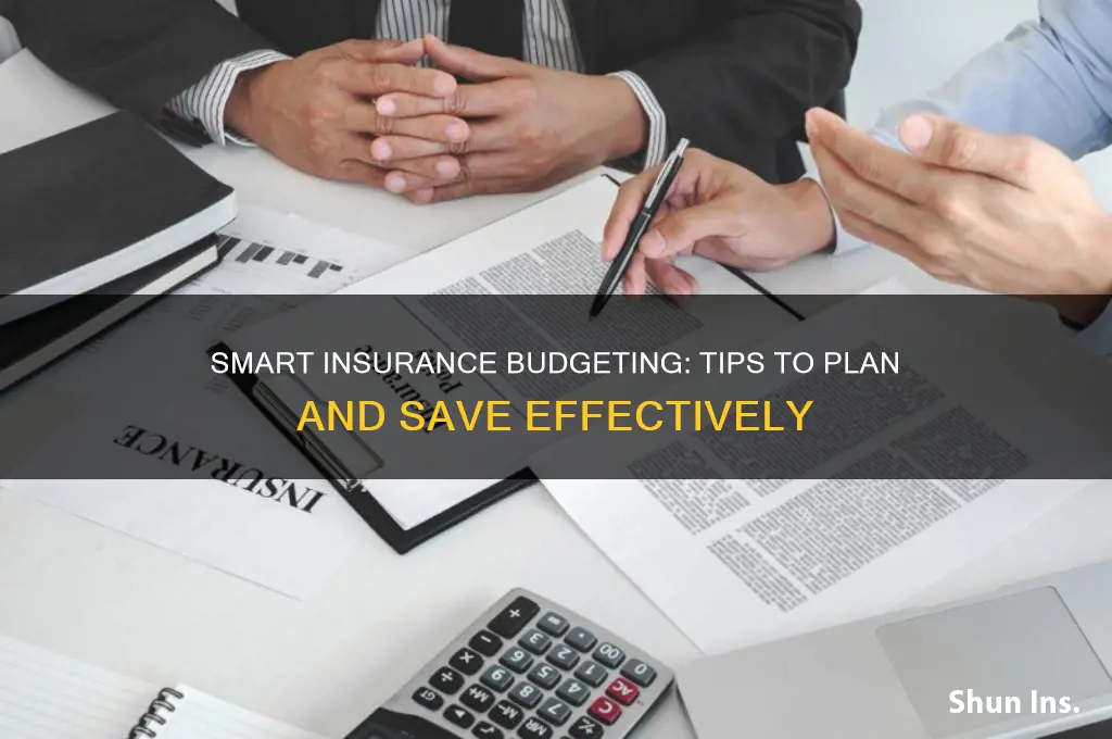 how to budget for insurance