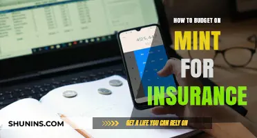 Mastering Insurance Budgeting: A Step-by-Step Guide Using Mint